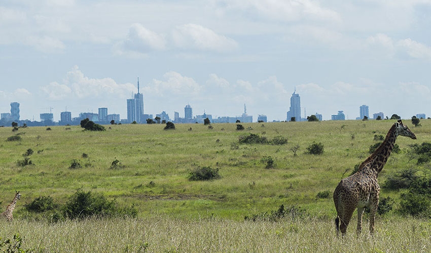 Nairobi National Park's 3D Benefits of Health, Wealth and Identity