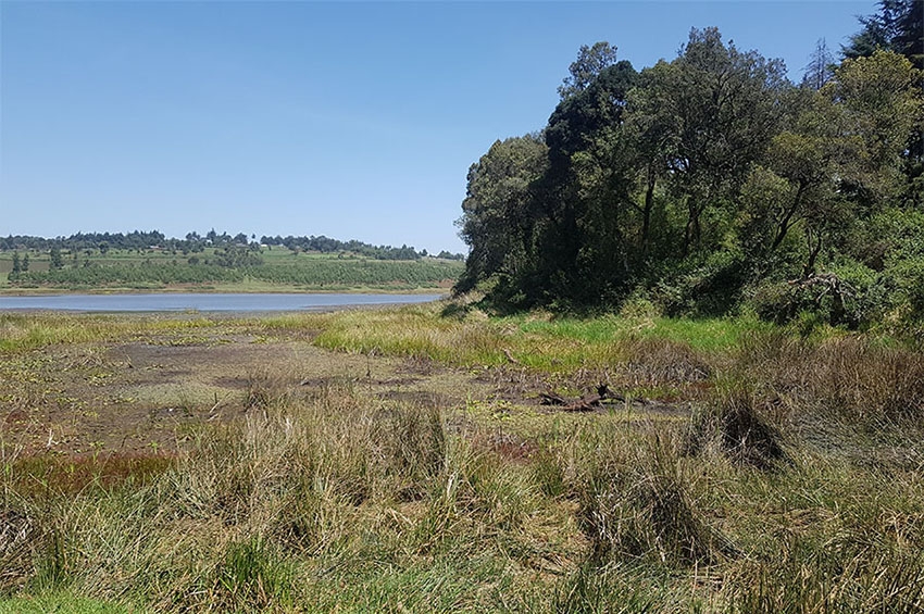Impact and Myths of Kenya's Lake Narusha