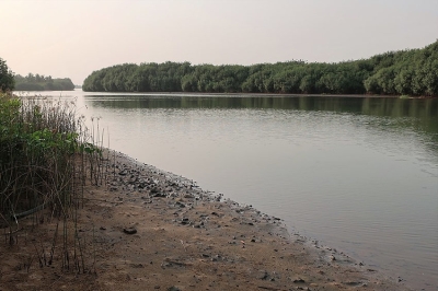 Lekki Conservation Centre, Lagos